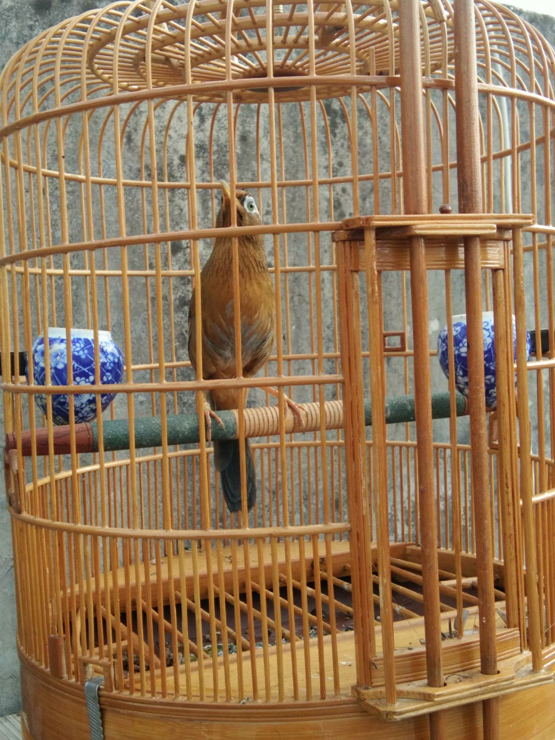 63 522 老衲法号『画眉€鸟〗 id: 98191913 关注