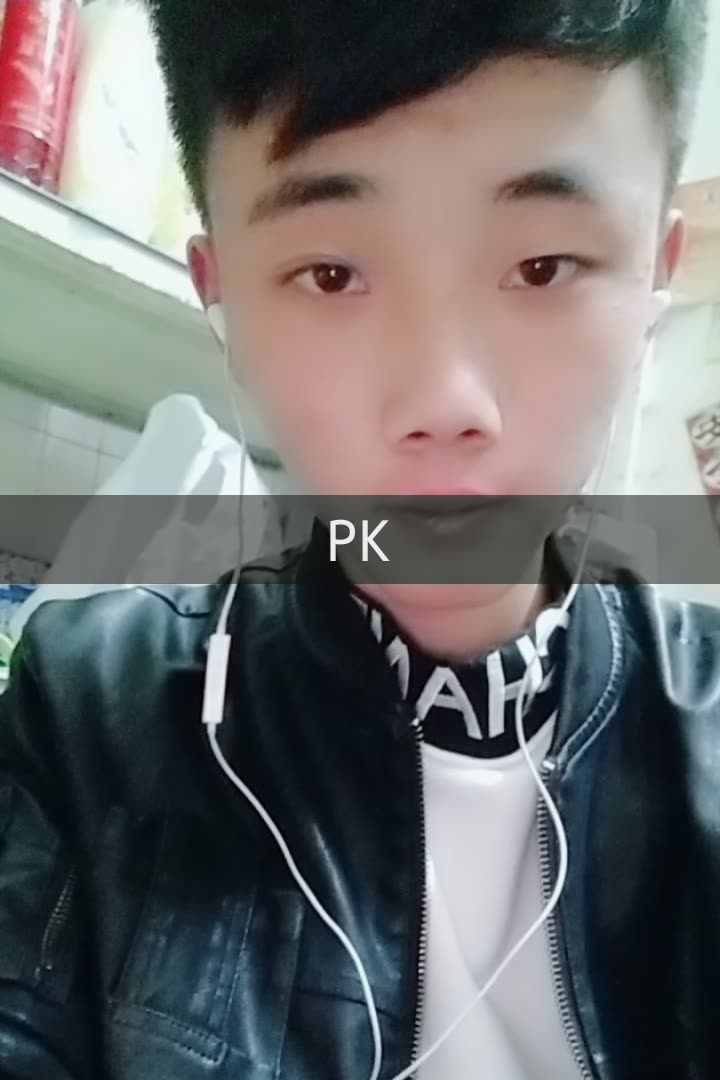 硕平花海恐龙战队李义楠