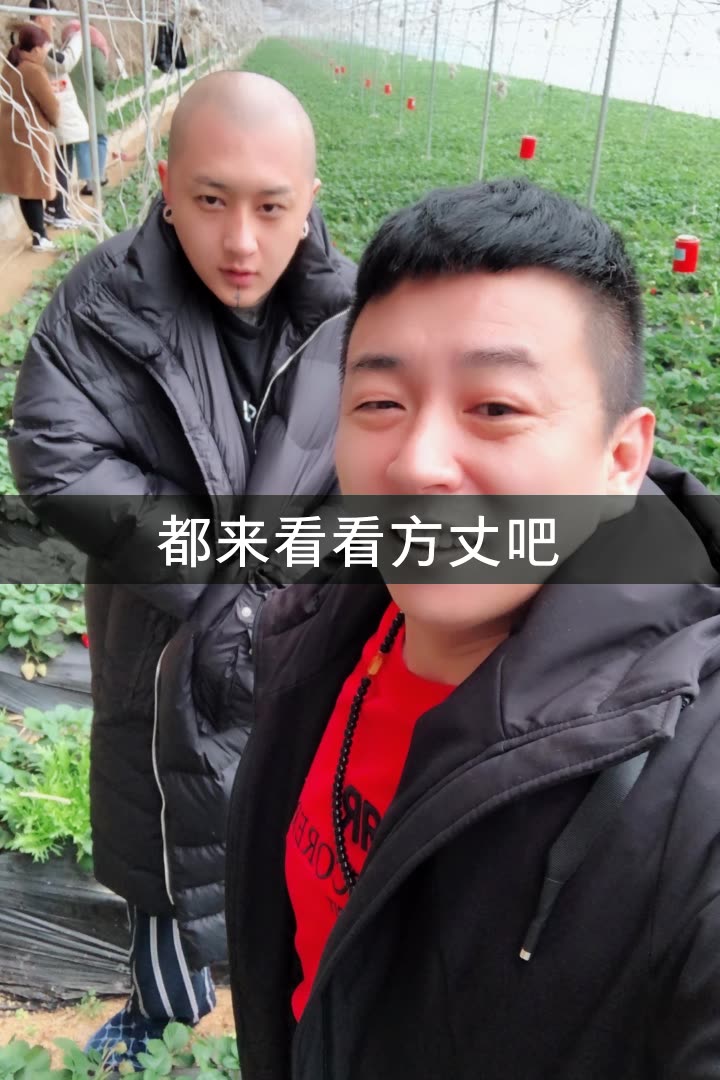 丈门大老郑的快手直播