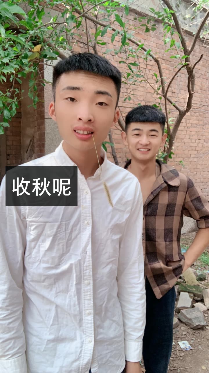 阳光你星哥骑猪大队的快手直播