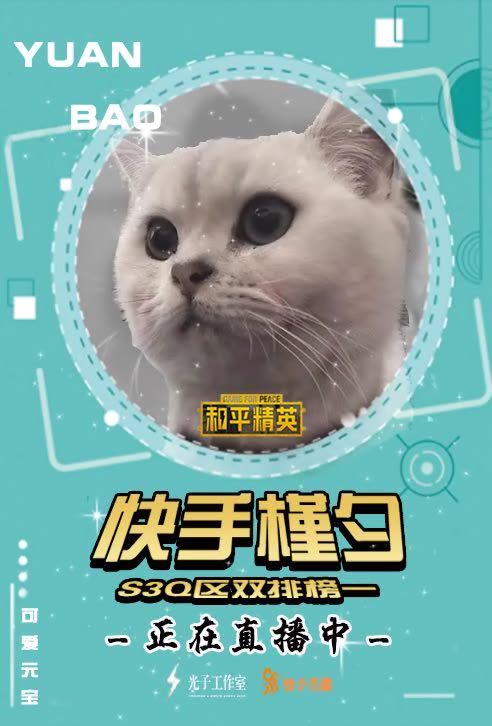 槿夕 和平精英的快手直播