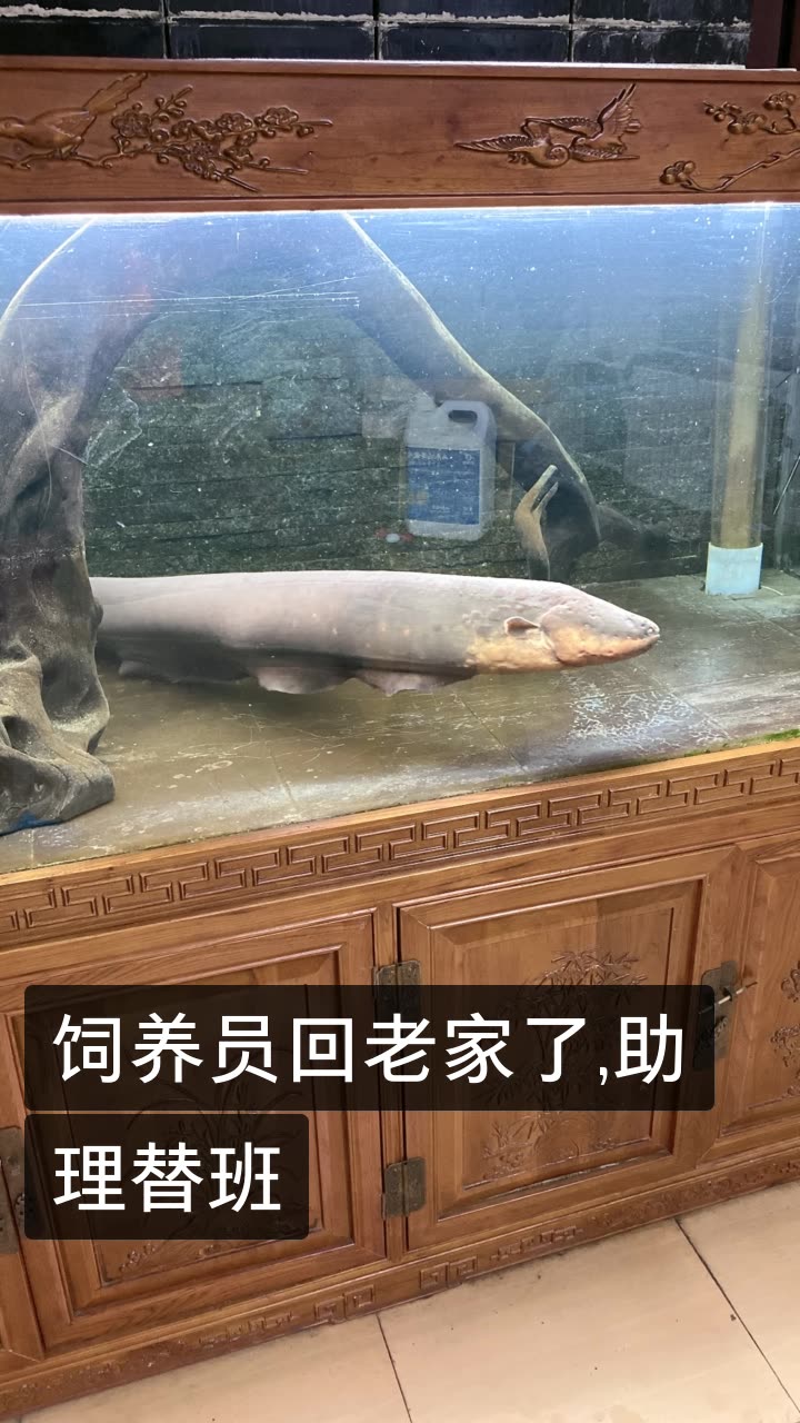 姜峰.各种玩的快手直播