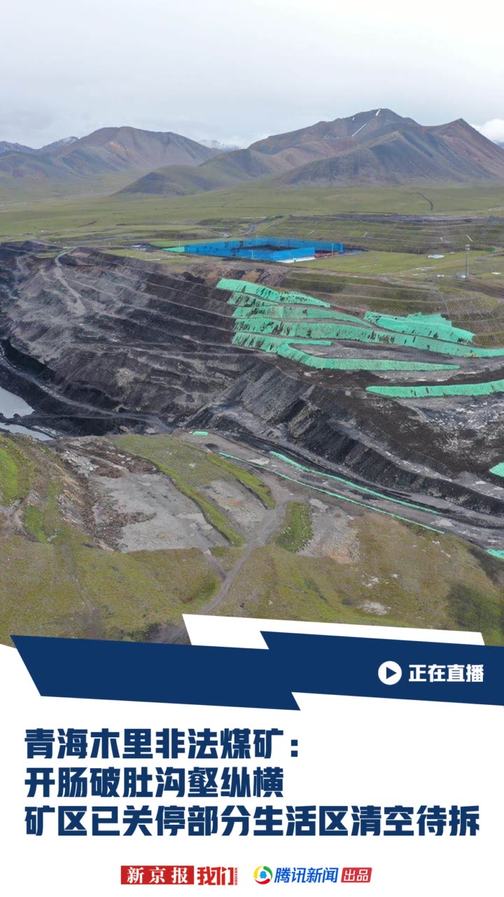 我们视频的快手直播