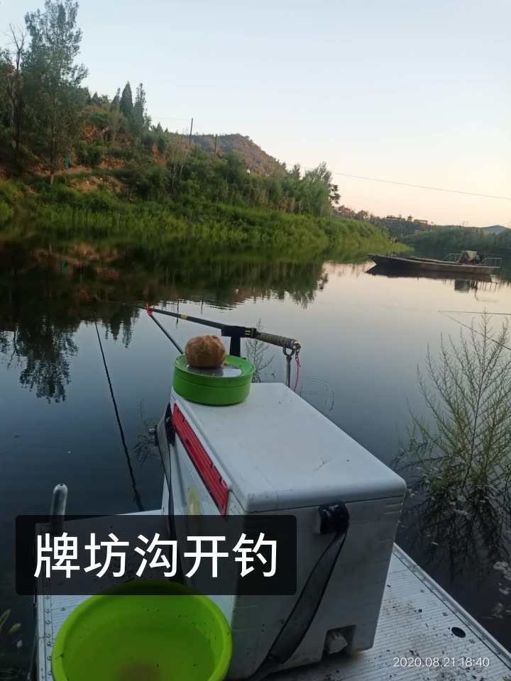 东莞钓鱼官方直播网站_东莞钓鱼群的微信公众账号!关注订阅号东莞钓鱼群