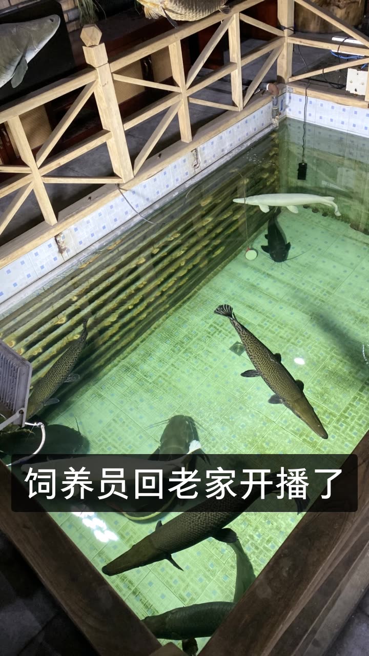 姜峰各种玩277的快手直播