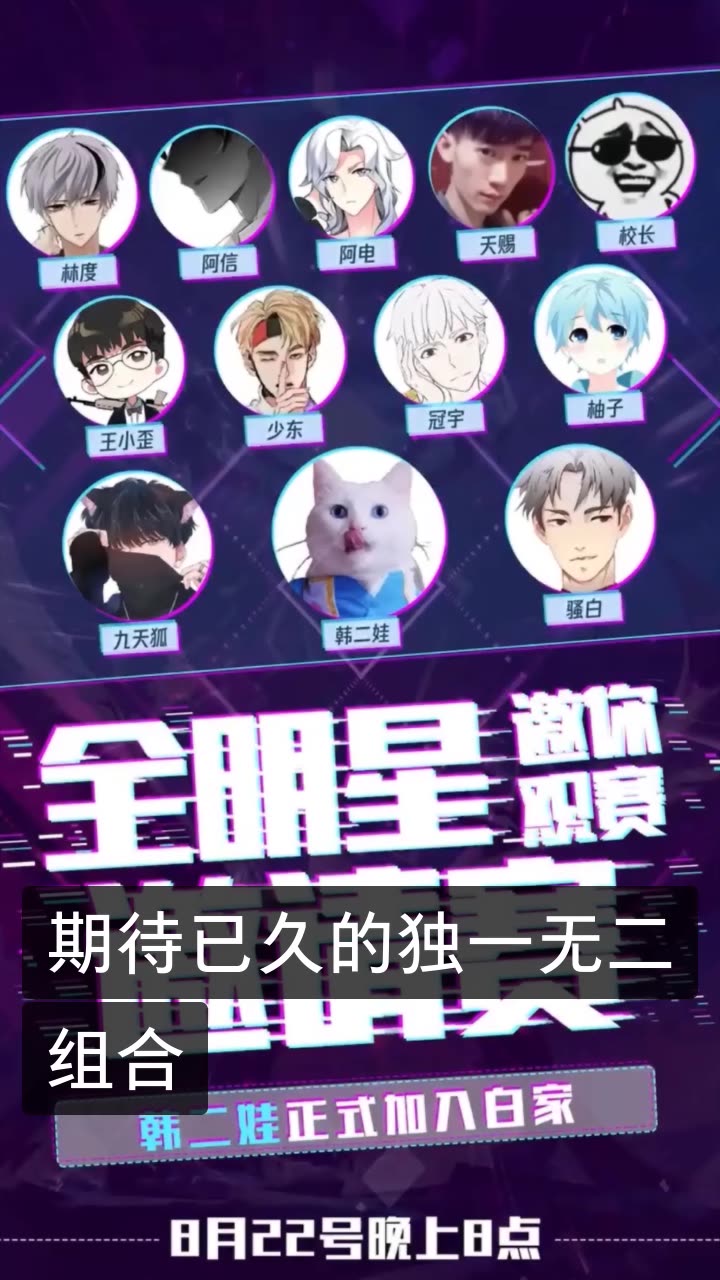 王者荣耀韩二娃『b 』的快手直播