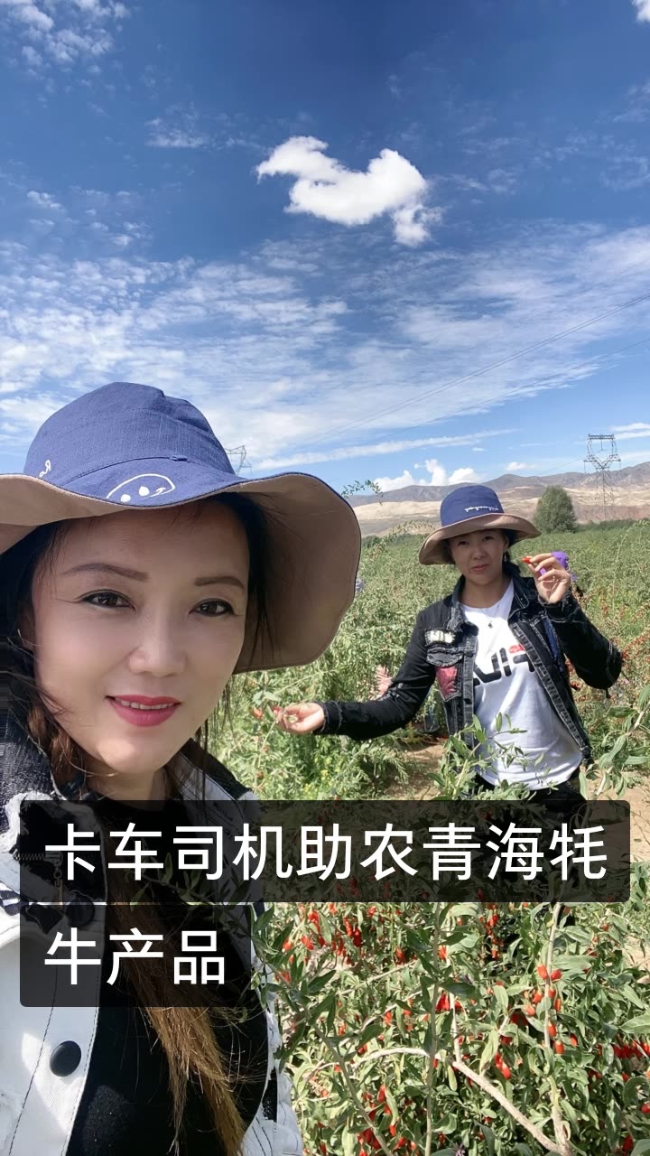 四丫头.重卡女司机隋金荣的快手直播