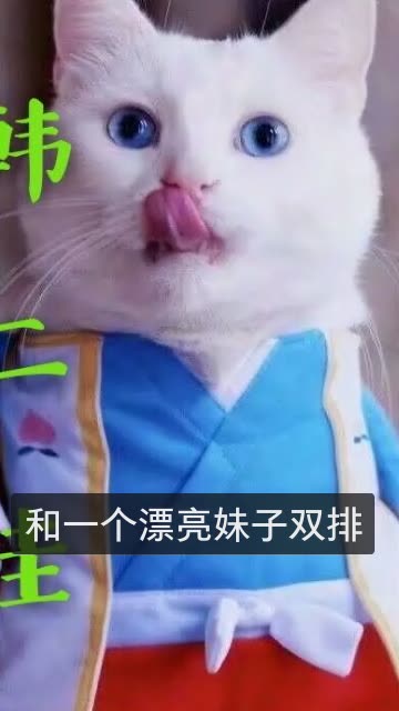 王者荣耀韩二娃『b 』的快手直播