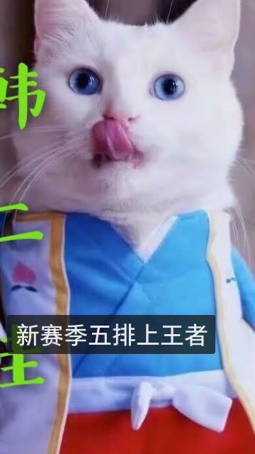 王者荣耀韩二娃『b 』的快手直播