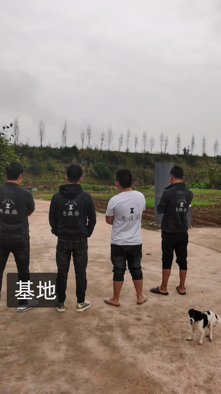 老疯杨是我的快手直播