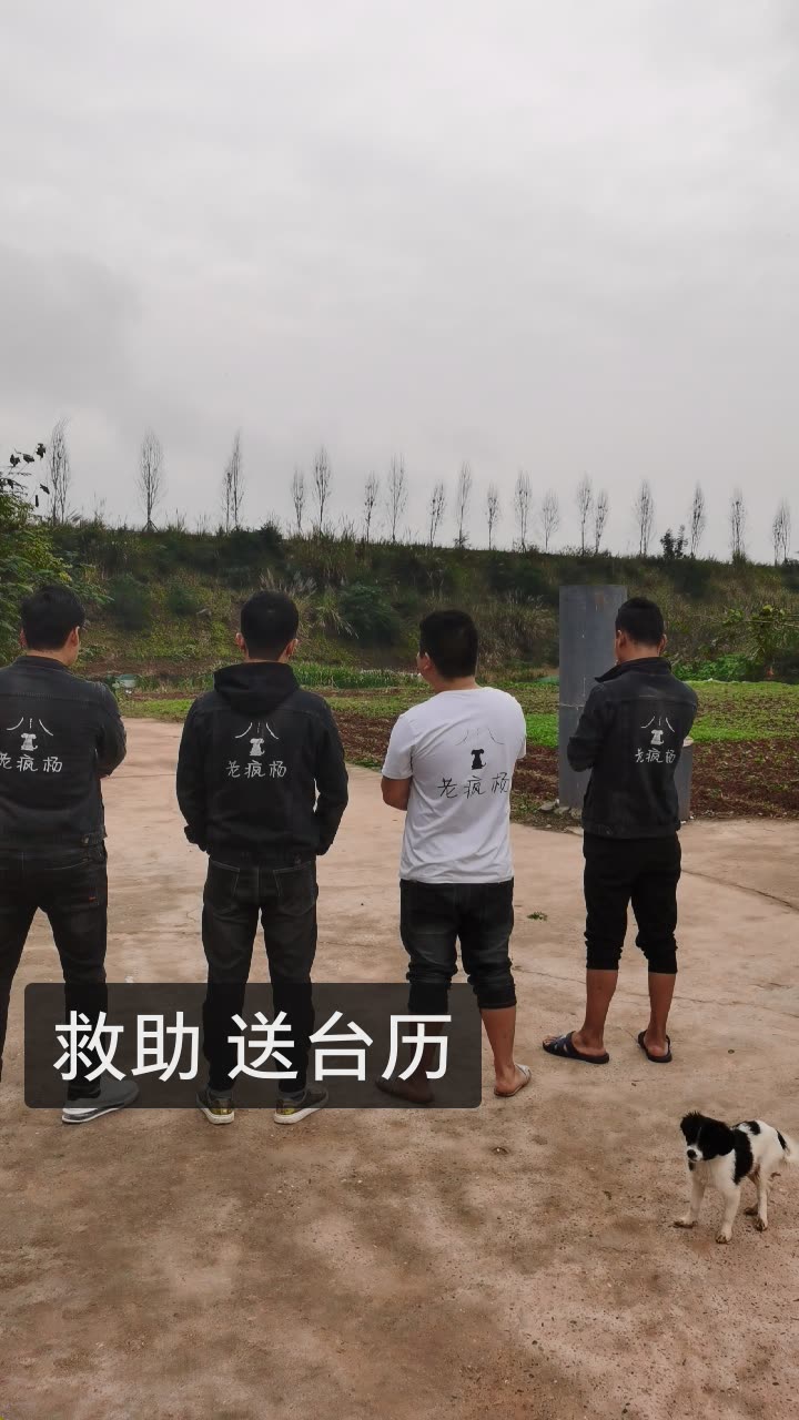 老疯杨是我的快手直播