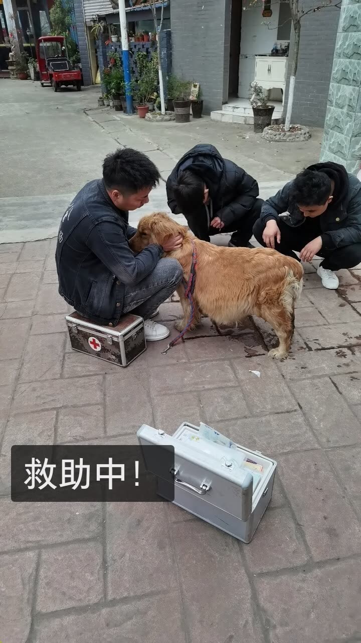 老疯杨是我的快手直播