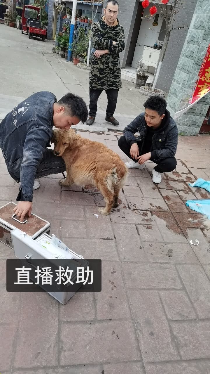 老疯杨是我的快手直播