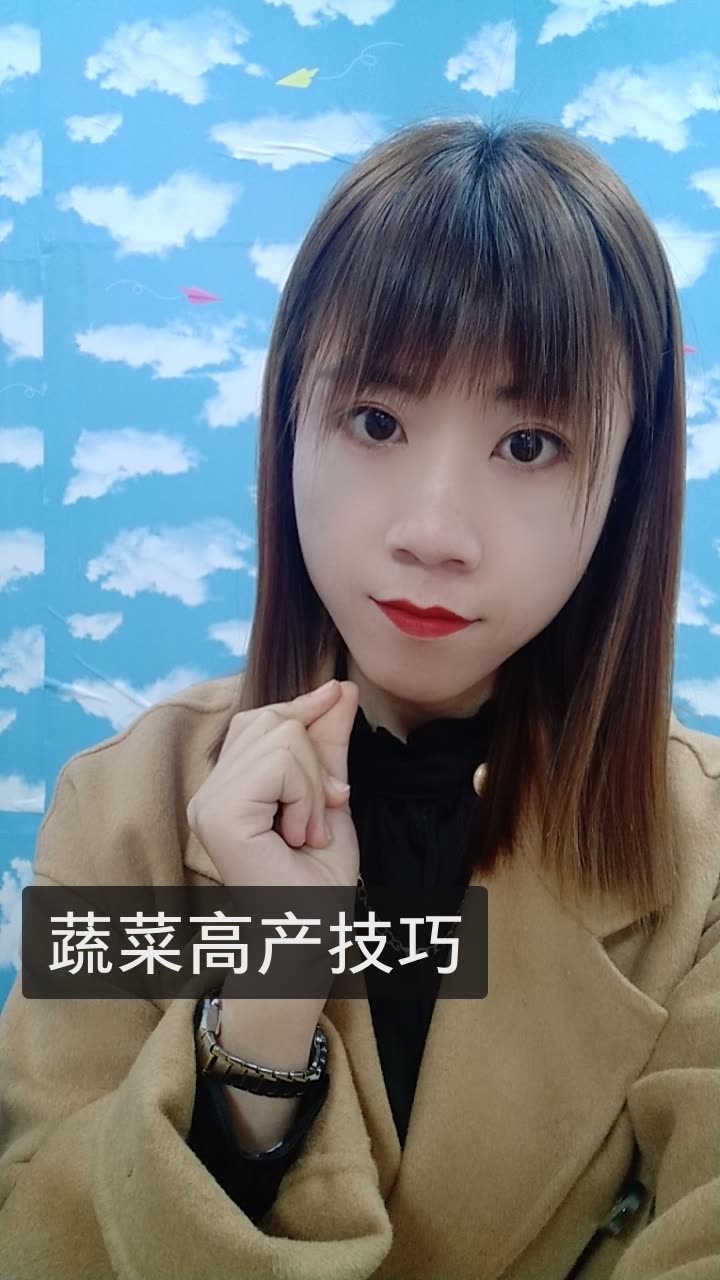 乔帮主聊蔬菜(菌崔莱)的快手直播