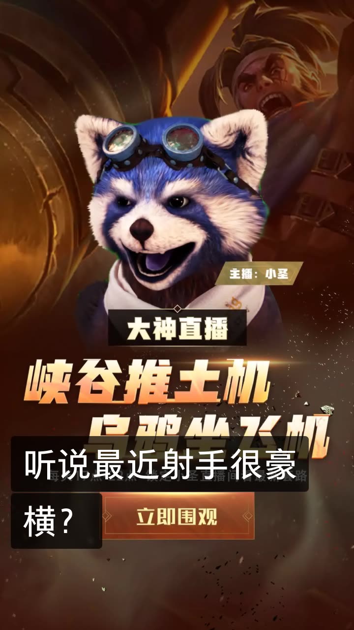 王者荣耀 小圣的快手直播