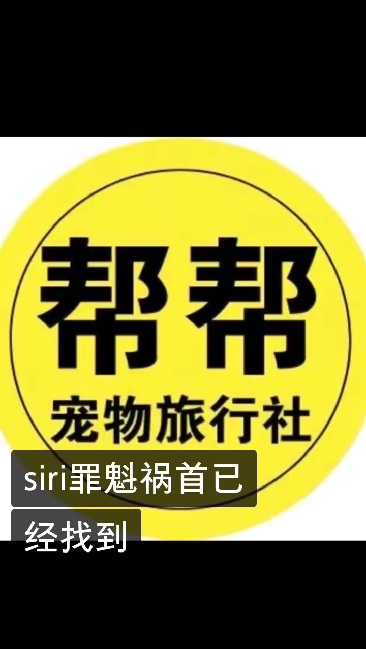 广州帮帮宠物托运.的快手直播