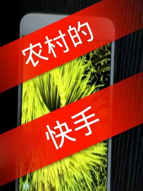 农村的快手