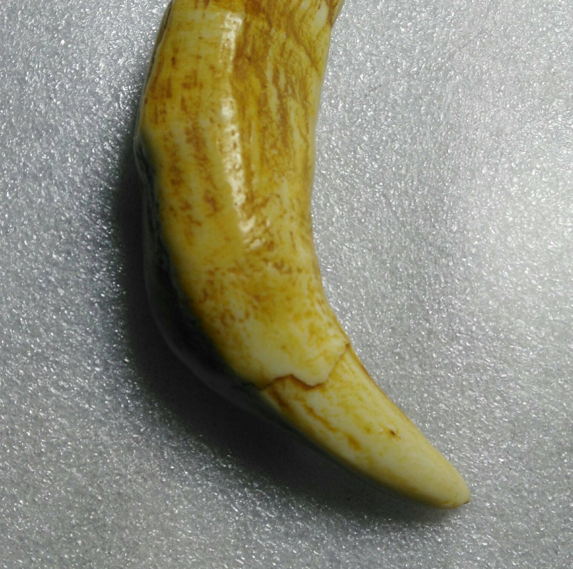 骆驼牙一个, 211 播放1 赞                 0 评论              2年