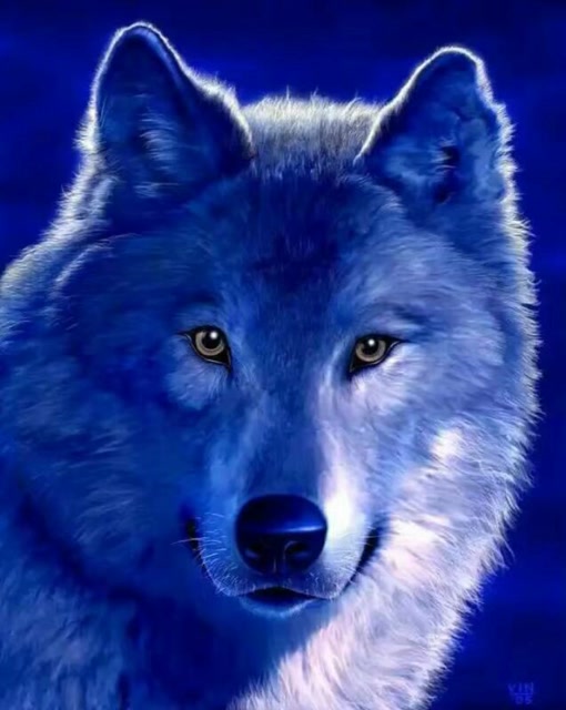 创新石材雪狼的主页-快手直播