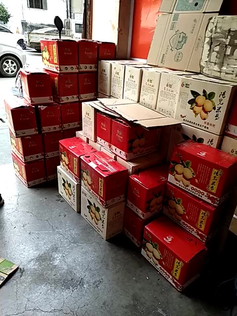 枇杷准备打包 568       赞                   评论              2