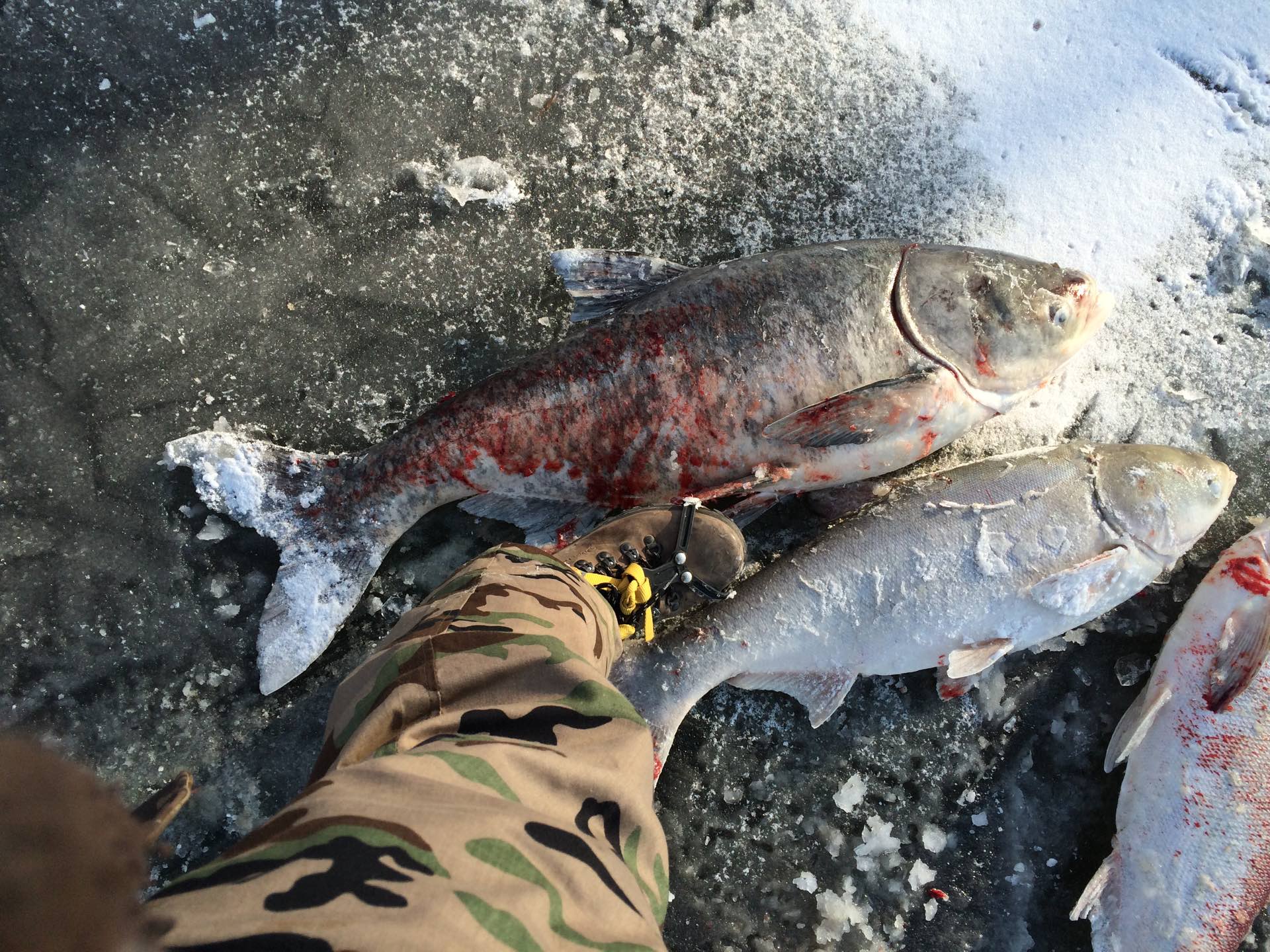 逗锚鱼的主页-快手直播