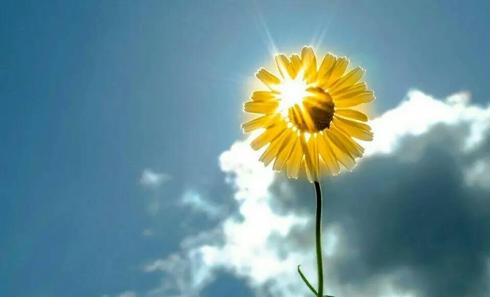 淡然～随缘的主页-快手直播