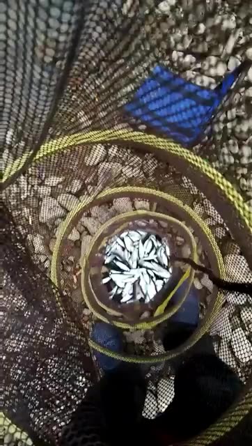 李晓钦的主页-快手直播