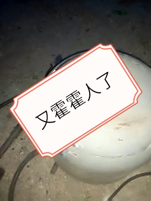 老爸说我没正六,霍霍人,我把我老爸的好煤气罐给霍霍了 304       赞