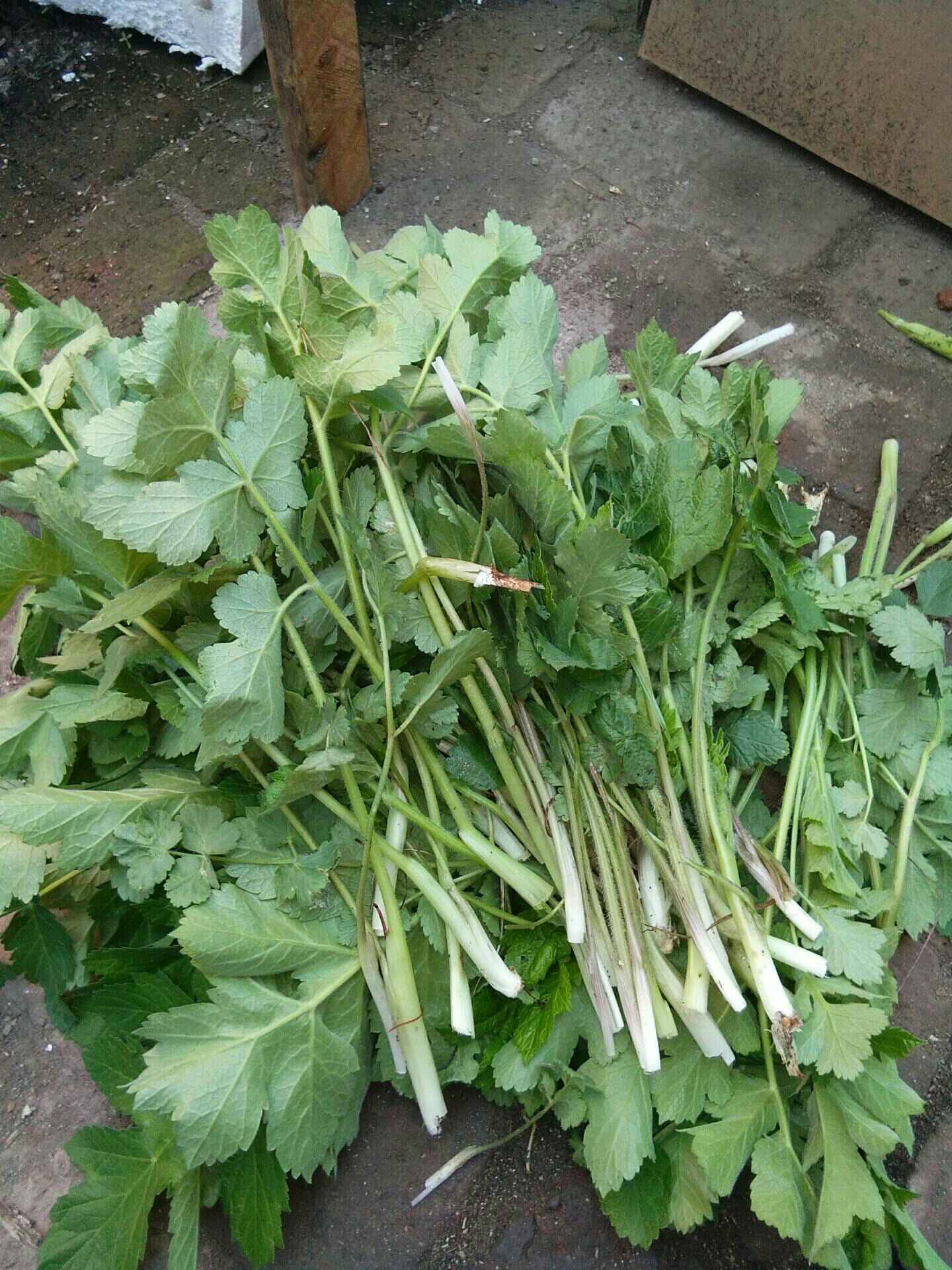 朋友的酒1605的主页-快手直播