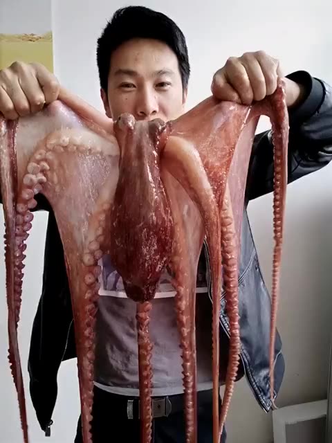 快手直播