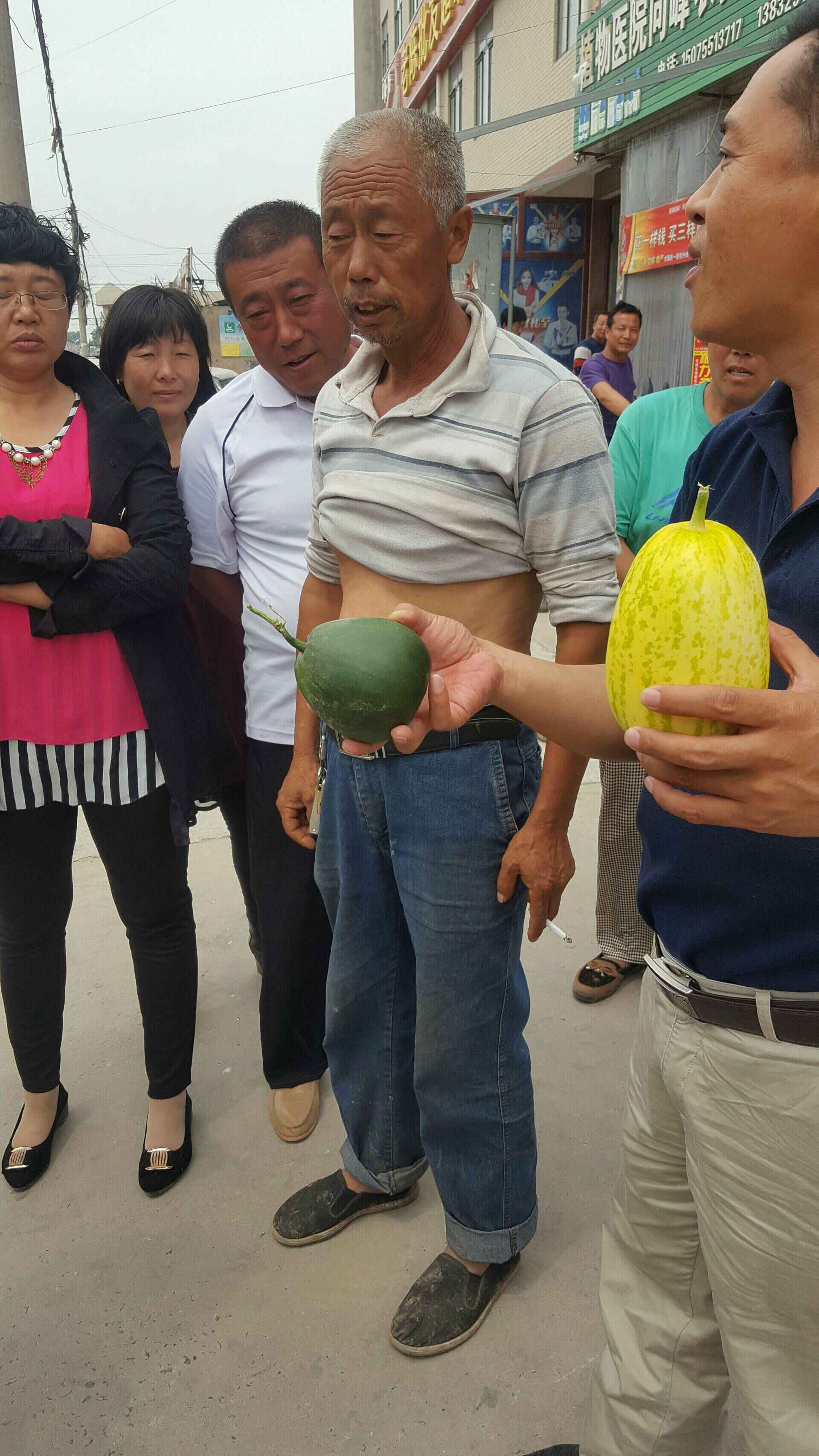 黑绿色的圆瓜和金黄色瓜好看吗?