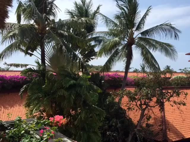 九度纯k 孔令多