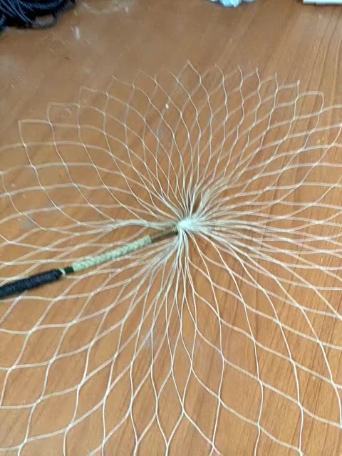 撒网起头起的怎么样 2年前