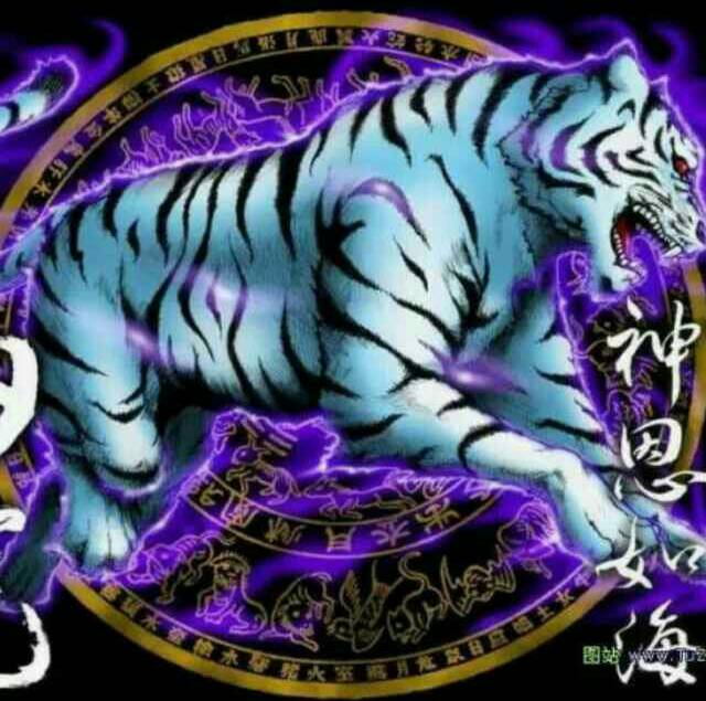 四大神兽之一 - 球*子的快手