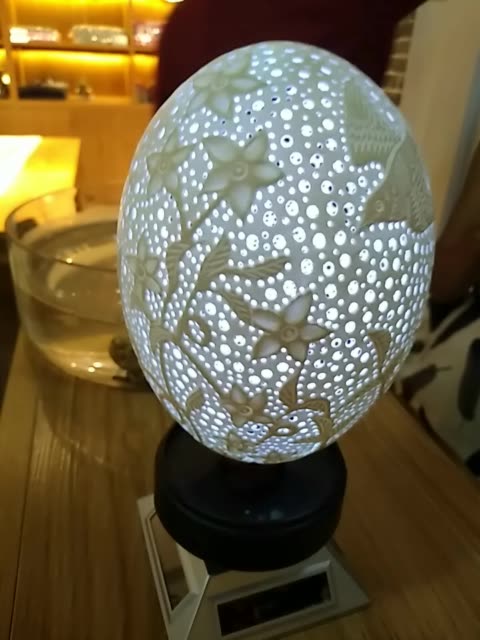art赵晓成主播的主页