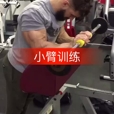 杠铃反握腕弯举-锻炼前臂外侧伸肌肌群 598        赞