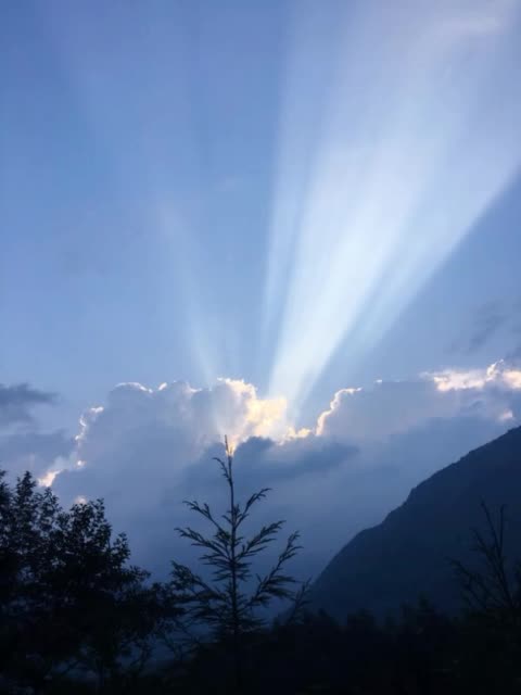 null的主页-快手直播
