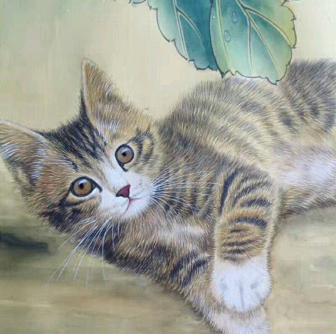 国画工笔小猫 112       赞                   评论              2