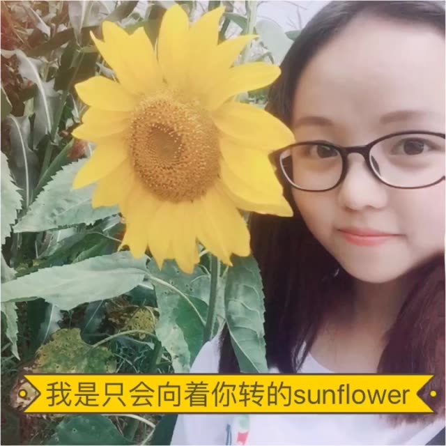 you are my sunshine.我是只会向着你转的向日葵.