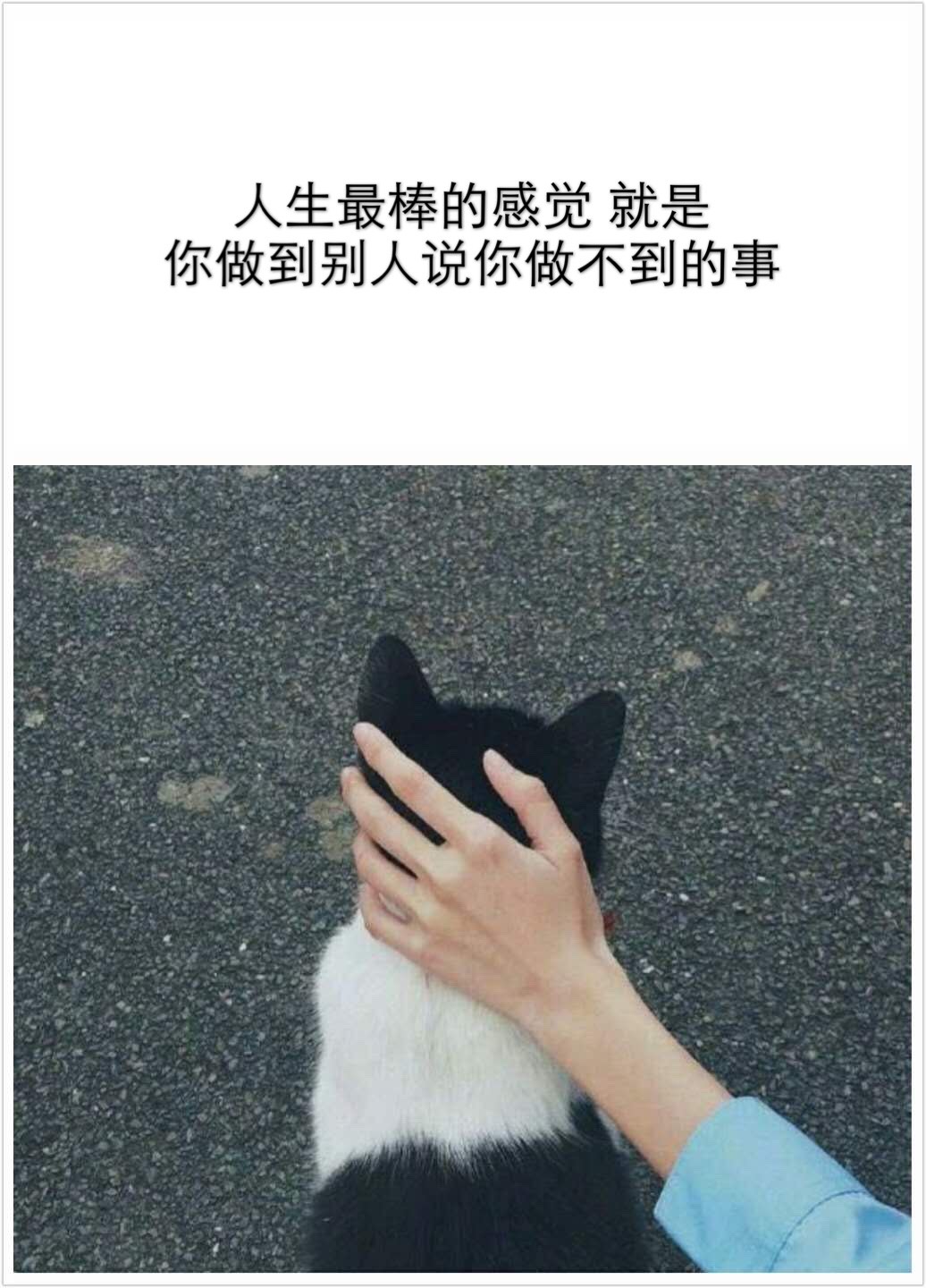 快手,记录世界 记录你