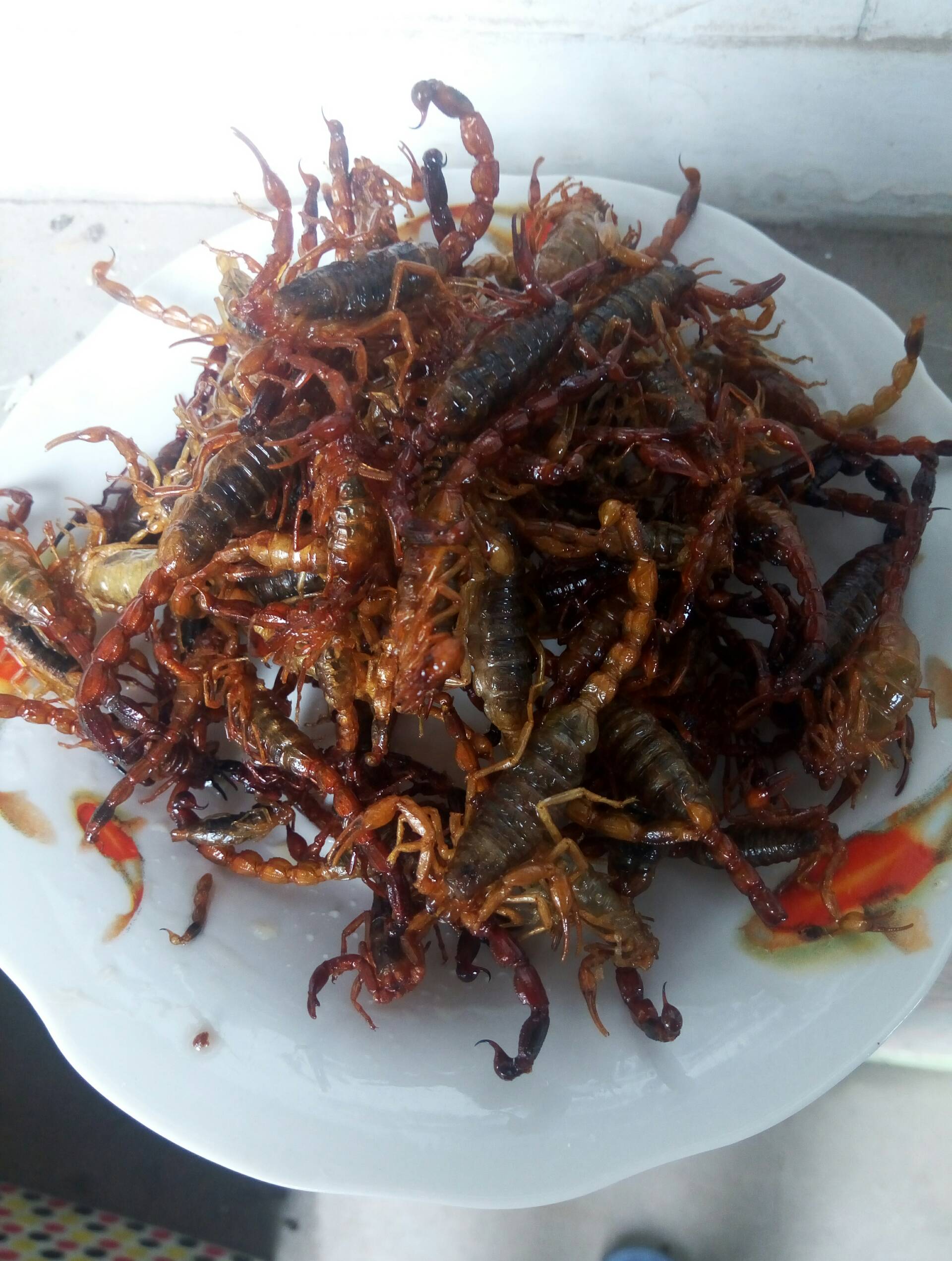 炸蝎子敢吃吗,我是不敢吃.