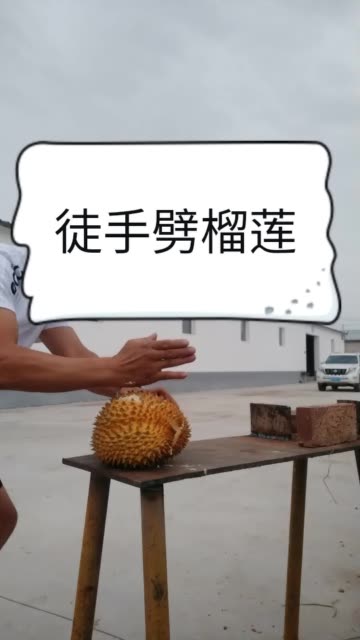 榴莲实属不好劈双击关,注精彩继续 49.5w     1.6w 赞 2年前