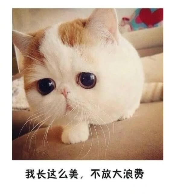 魏夫人93魏先生的主页-快手直播