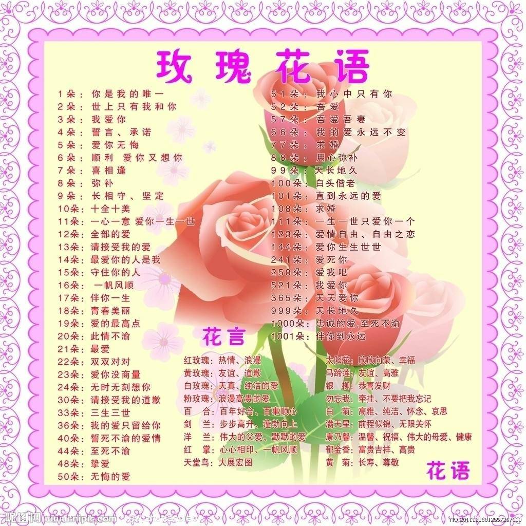玫瑰花语文案图片