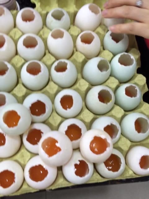 人造鸭蛋 2年前