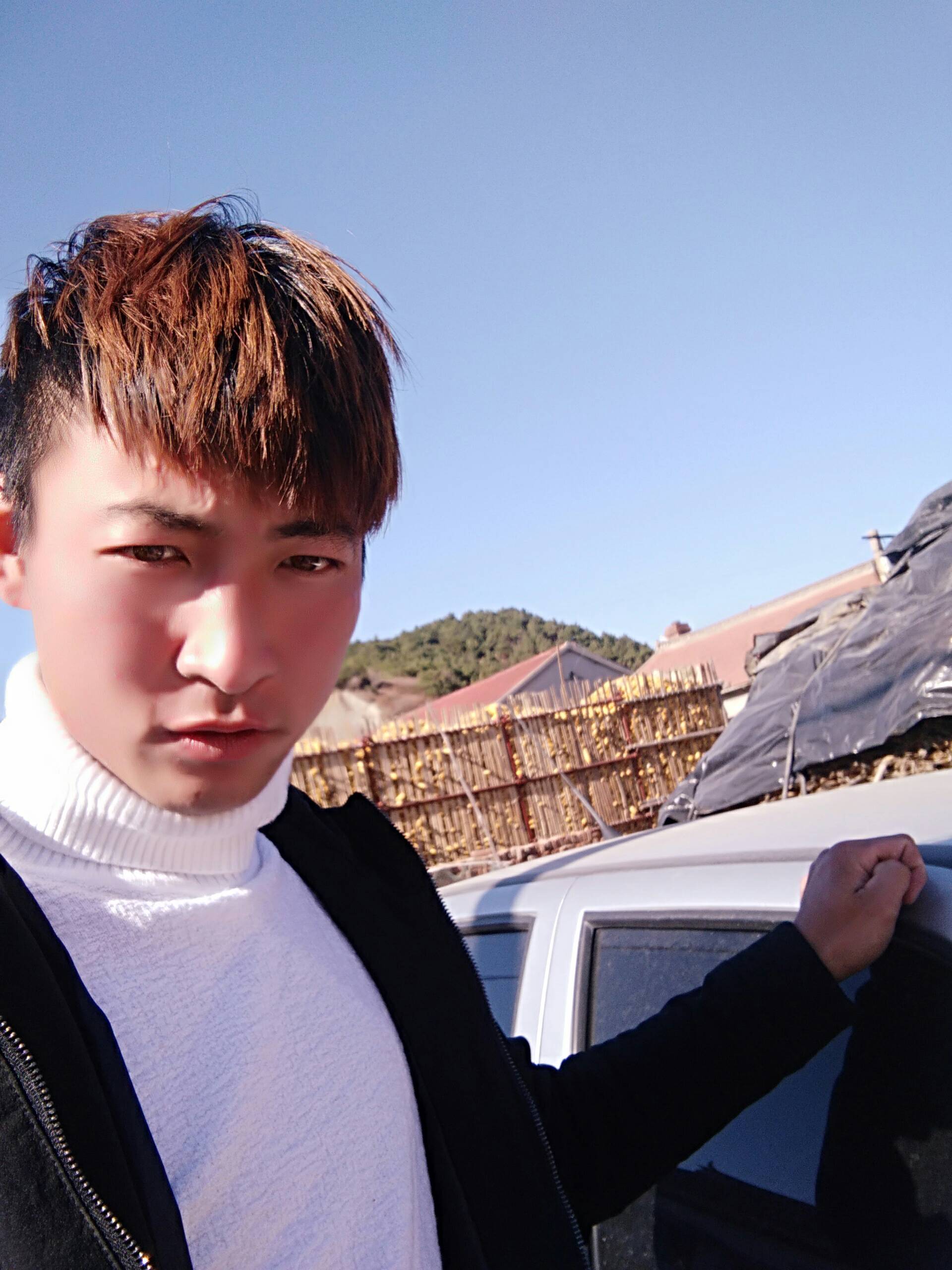 没毛病老铁666           533                      8