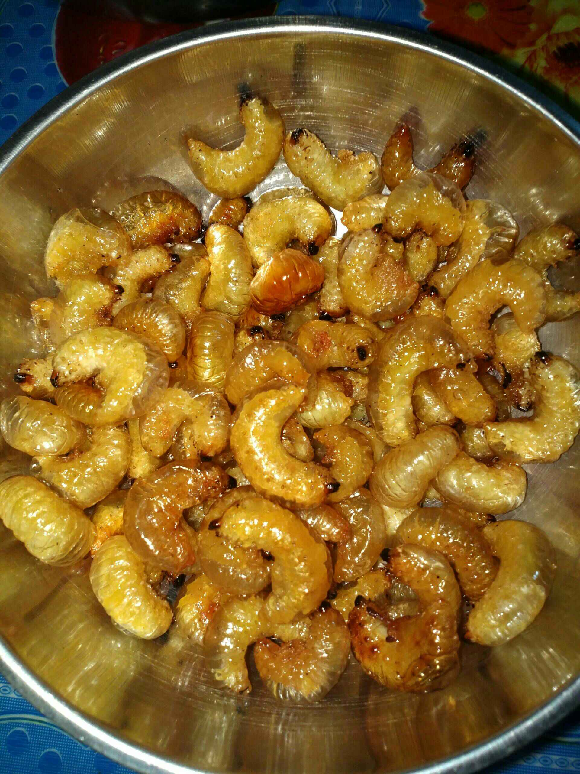 油炸好的葛根虫!