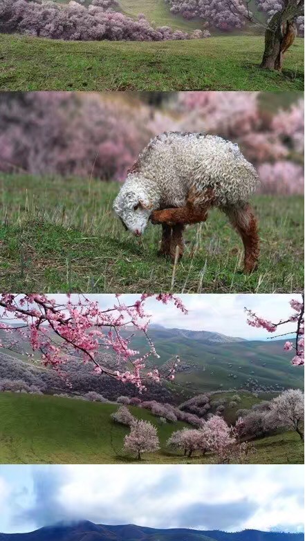 双木林【军婚】