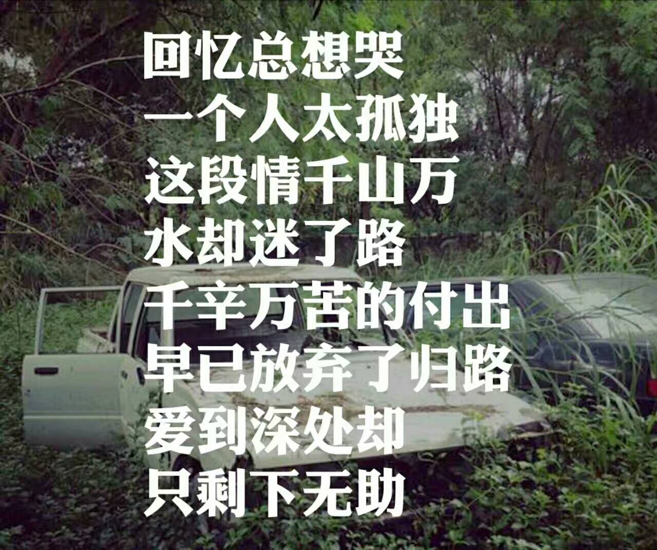 我的心好乱 好难受 231       赞       1年前