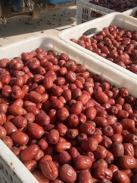 幸福快乐……@的主页-快手直播